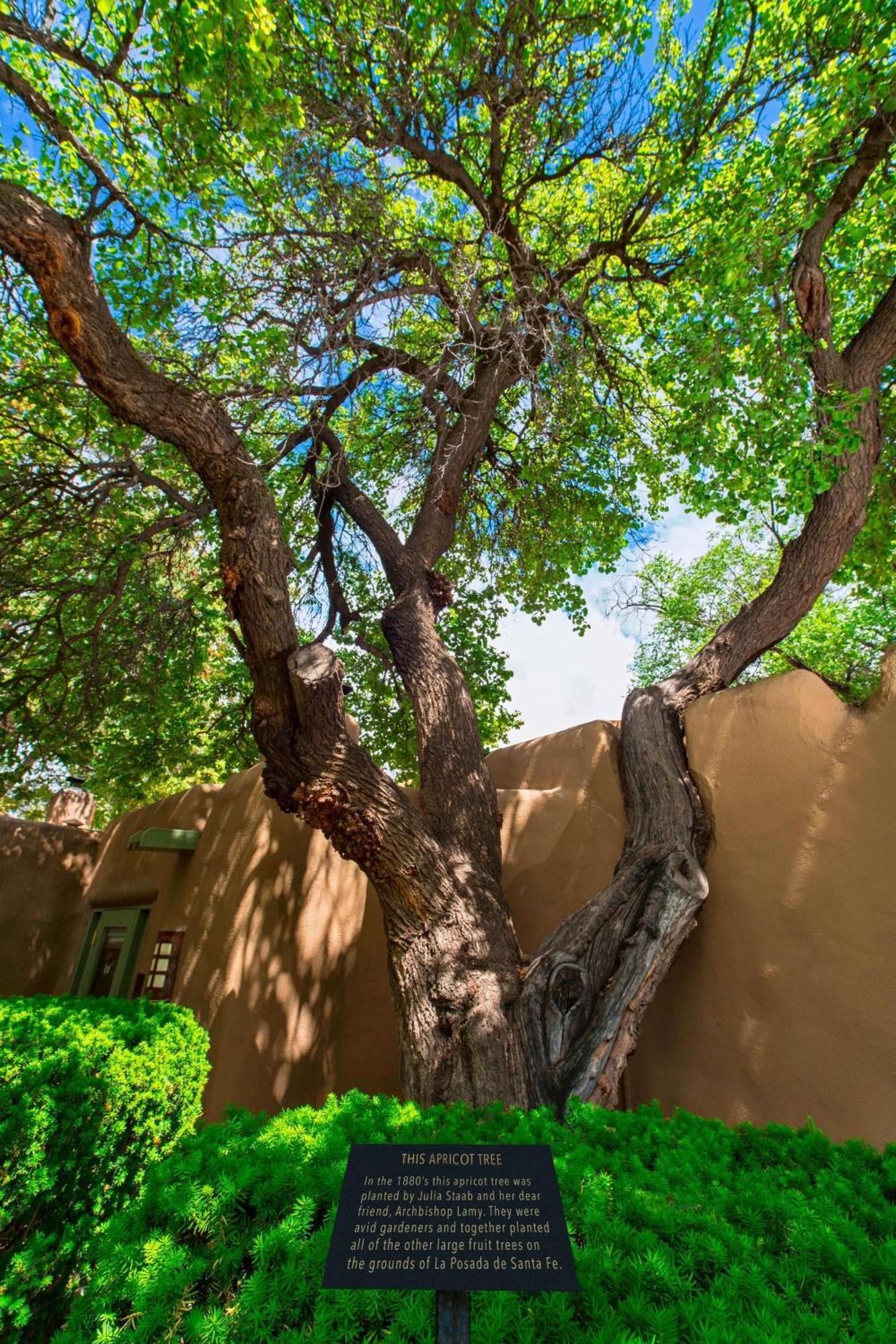 La Posada De Santa Fe, A Tribute Portfolio Resort & Spa Luaran gambar